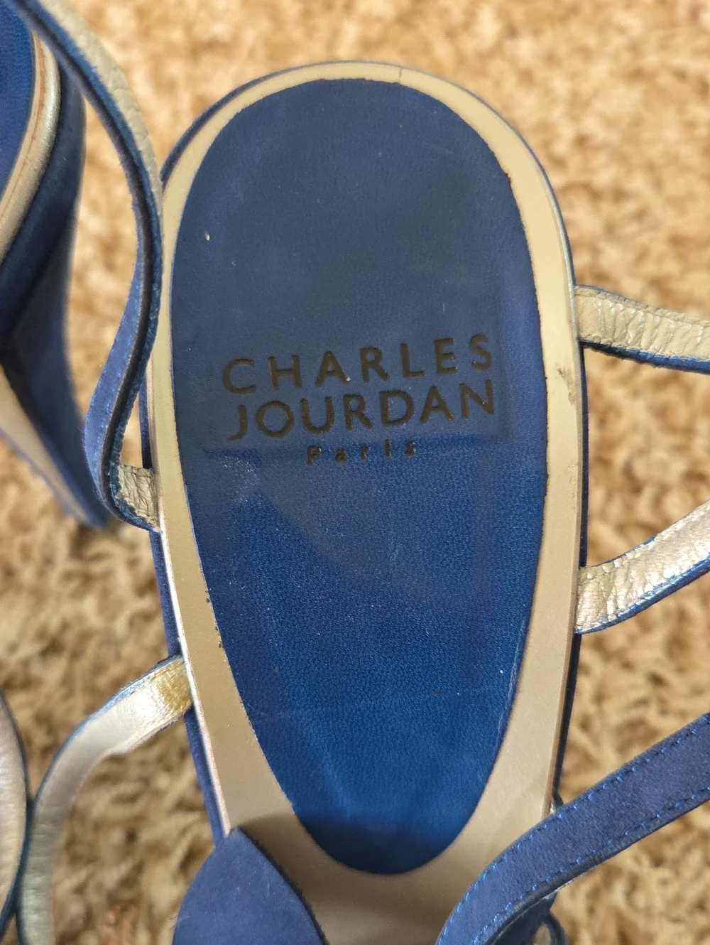 Charles Jourdan Blue Floral Tie-Ankle Heels